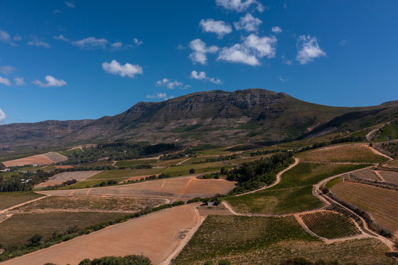 Constantia Area View