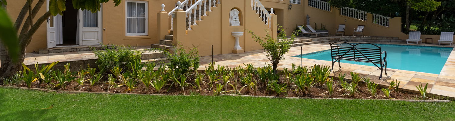 A serene garden setting with manicured lawns, lush greenery, and a sparkling swimming pool at Devonport House – the perfect space for guests to relax and unwind.