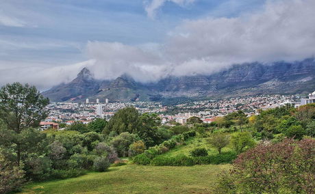 View of Table Mountain and Devil's Peak from a green belt in Cape Town on a cloudy day, showcasing the cityscape nestled against the iconic mountain range. Ideal image for content about Cape Town nature walks, hiking routes, and scenic viewpoints.