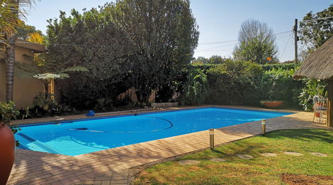 Pool and garden view