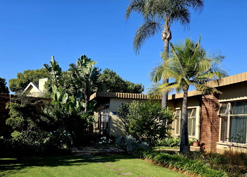 Front garden view