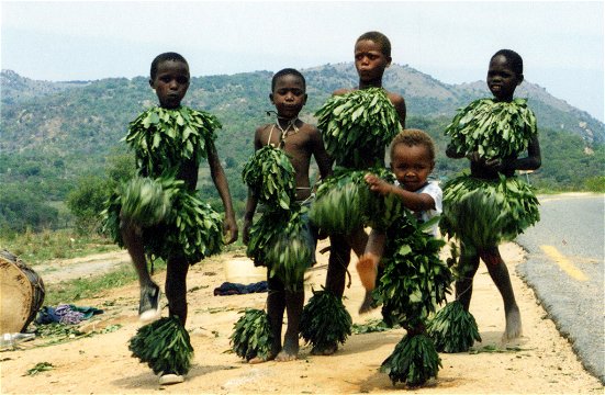 Swazi Children Dressed in Leaves