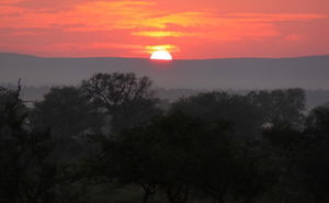 Autumn Couple's Deal! 19 -29 March 2025