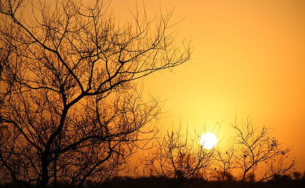 Sunset or Sunrise Drive in Kruger National Park