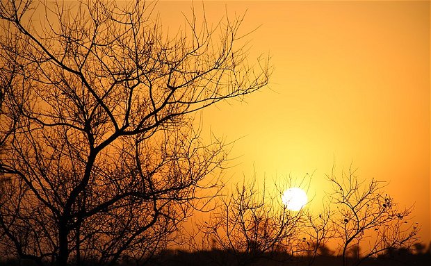 Sunset drive with Grand Kruger Lodge in the Kruger National Park