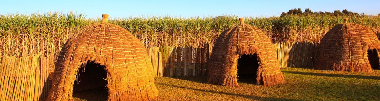 Swaziland Day Tour/Trip with Grand Kruger Lodge