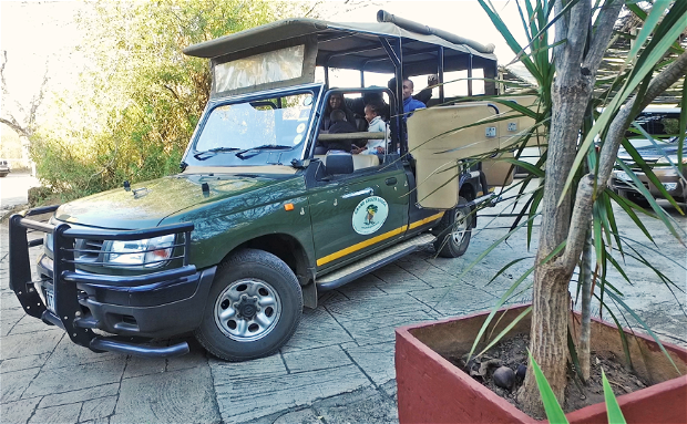 Full Day Game Drive to the Kruger National Park with Grand Kruger Lodge Full Day Game Drive to the Kruger National Park with Grand Kruger Lodge