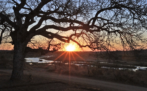 Local Sunset Safari in Marloth Park with Grand Kruger Lodge