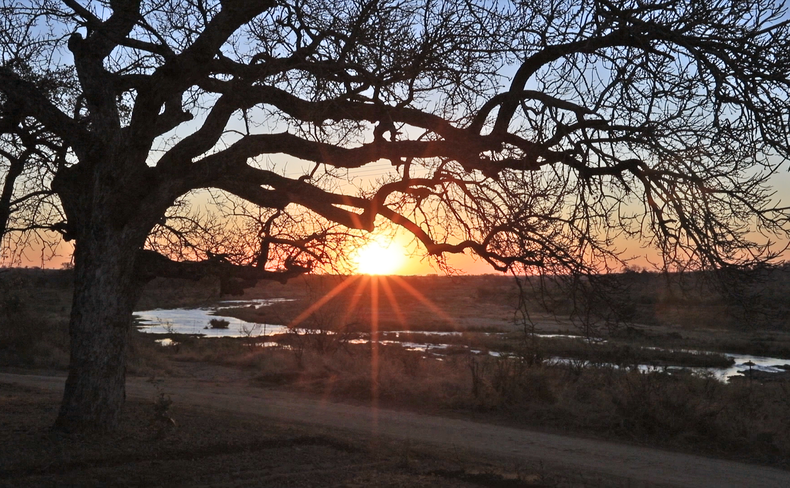 Local Sunset Safari in Marloth Park with Grand Kruger Lodge Local Sunset Safari in Marloth Park with Grand Kruger Lodge