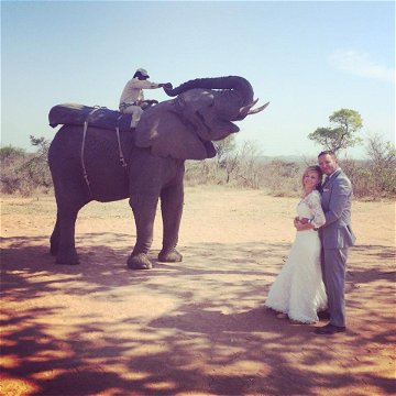 Elephant Wedding Experiences