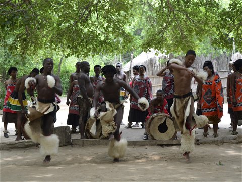 Swazi Cultural Dancing