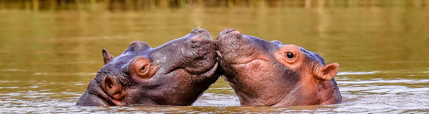 2019 Valentine's Special at Grand Kruger Lodge