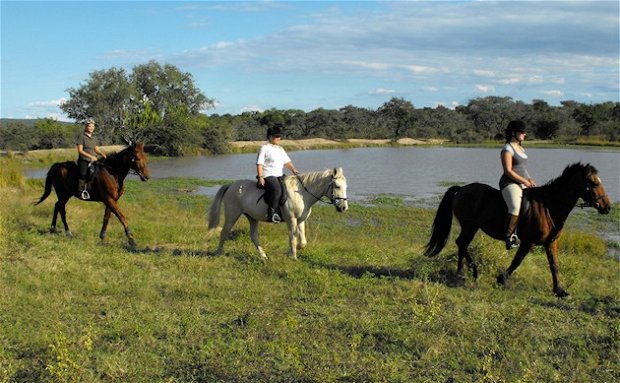 Horseback Riding with Grand Kruger Lodge Horseback Riding with Grand Kruger Lodge