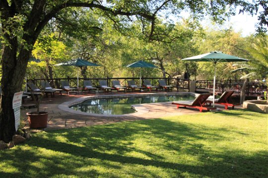 Grand Kruger Loge Swimming Pool