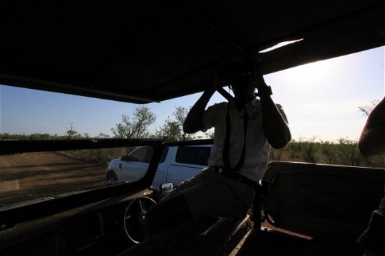 Full Day Game Drives