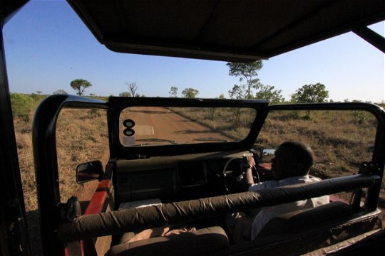 Guided Kruger National Park Game Tours
