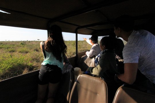 Kruger National Park Ideal Game Spotting Experience and Information