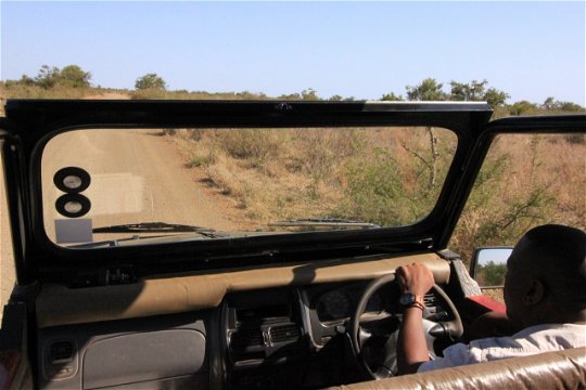 Open Vehicle Game Drives With Qualified Guide