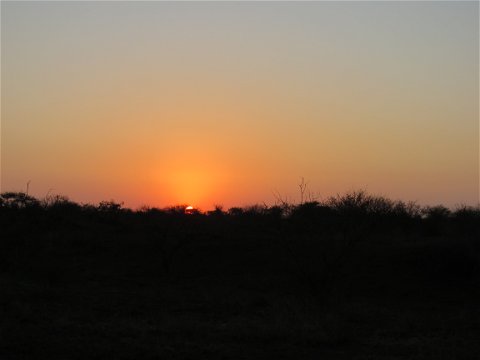 Sun-rise bush walk in the Kruger National Park