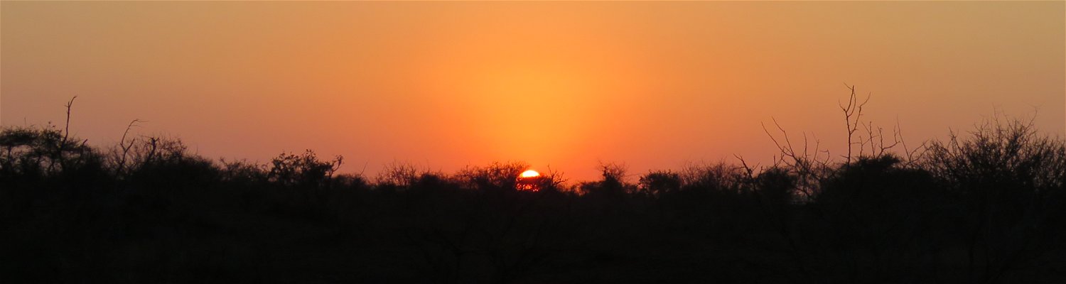 Bush Walk in the Kruger National Park Sunrise