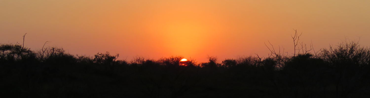Bush Walk in the Kruger National Park Sunrise