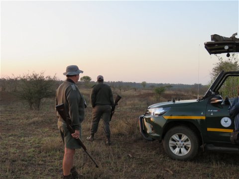 Guided Bush Walk in Kruger National Park with Ranger