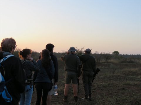 Bush Walk in Kruger National Park with Ranger