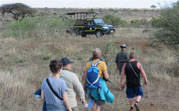 Bush Walk in KNP with Grand Kruger Lodge