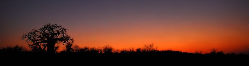 Kruger Park Sunset