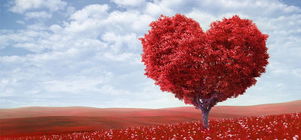 Valentine's Week | A Double Suite, Couple's Massage & A Bottle of Champagne