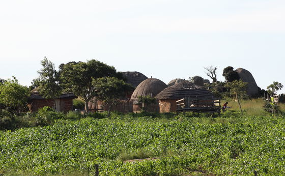 Swaziland Day Tour