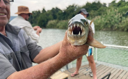 Tiger Fishing or Boat Cruise on the Komati River