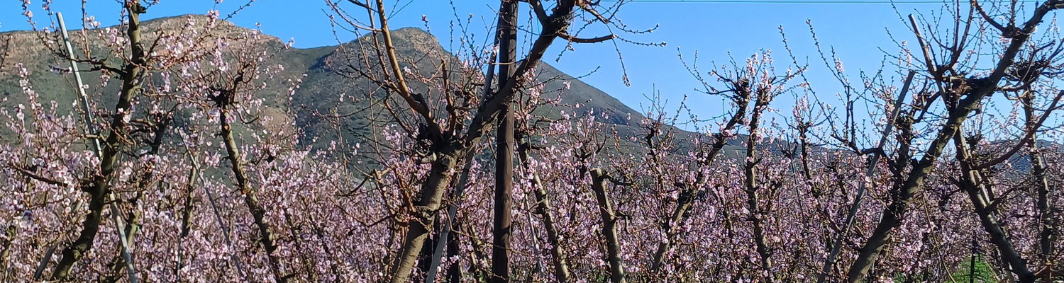 Frühling