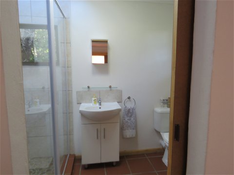 En suite bathroom with large shower, basin and toilet at The Bush Pig Cottage