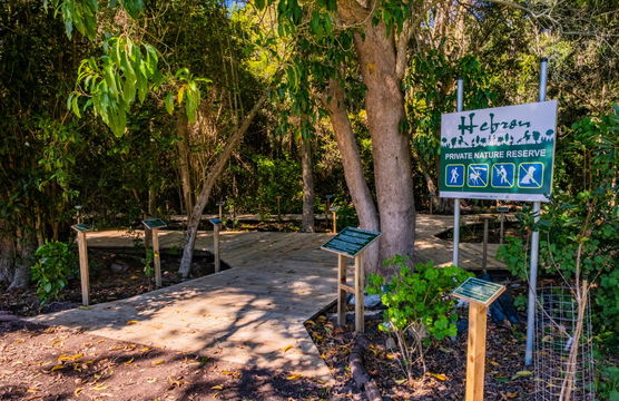 Hebron Afromontane Forest Arboretum
