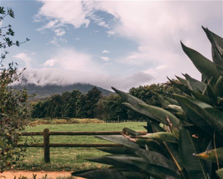 Soak in beautiful views of the Tsitsikamma mountains from Natures Way Farmstall, Bakery and Accommodation