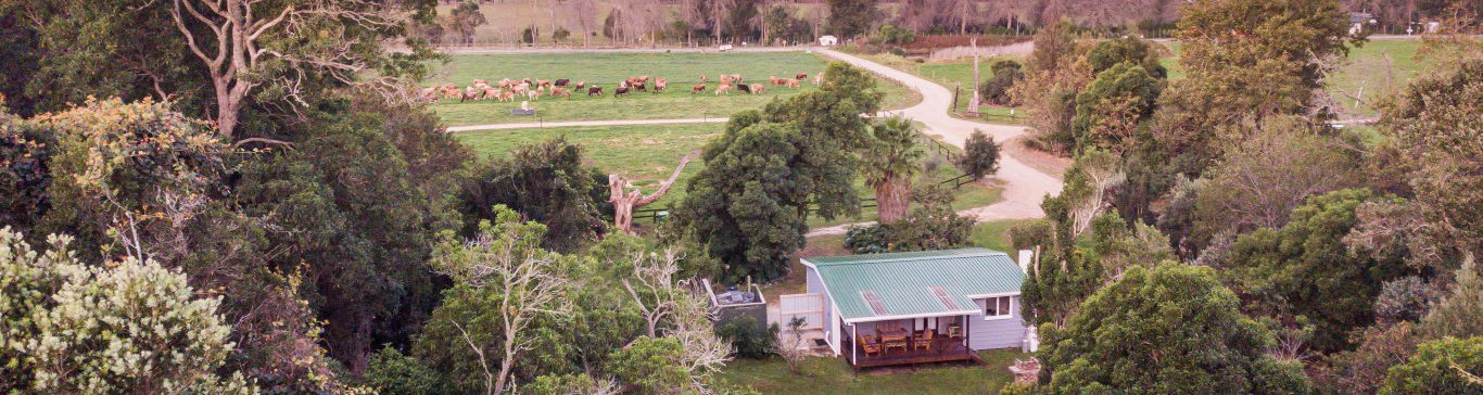 Self catering accommodation in the The Crags, Plettenberg Bay