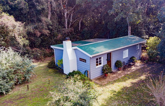Bush Pig Cottage, Natures Way Farm Stay Accommodation, The Crags, Plettenberg Bay