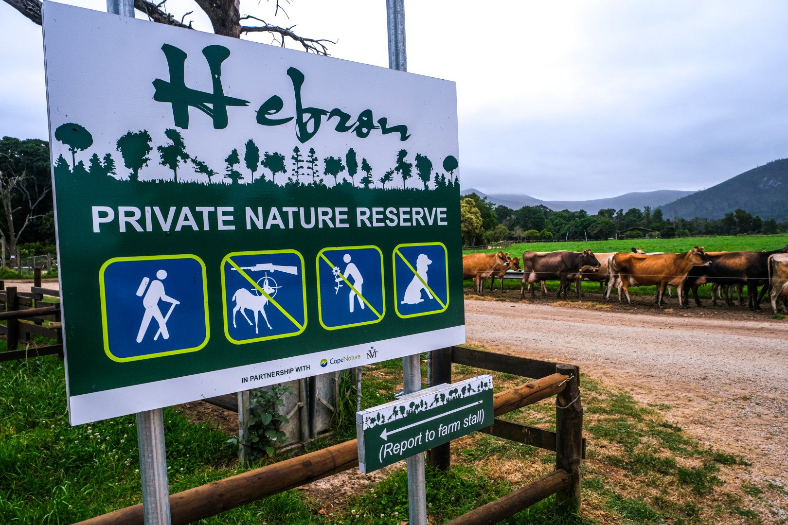 Hebron Private Nature Reserve is situated in The Crags, Plettenberg Bay, offering nature lovers the opportunity to enjoy nature walks and birding while also having access to all that Natures Way Farm has to offer. 