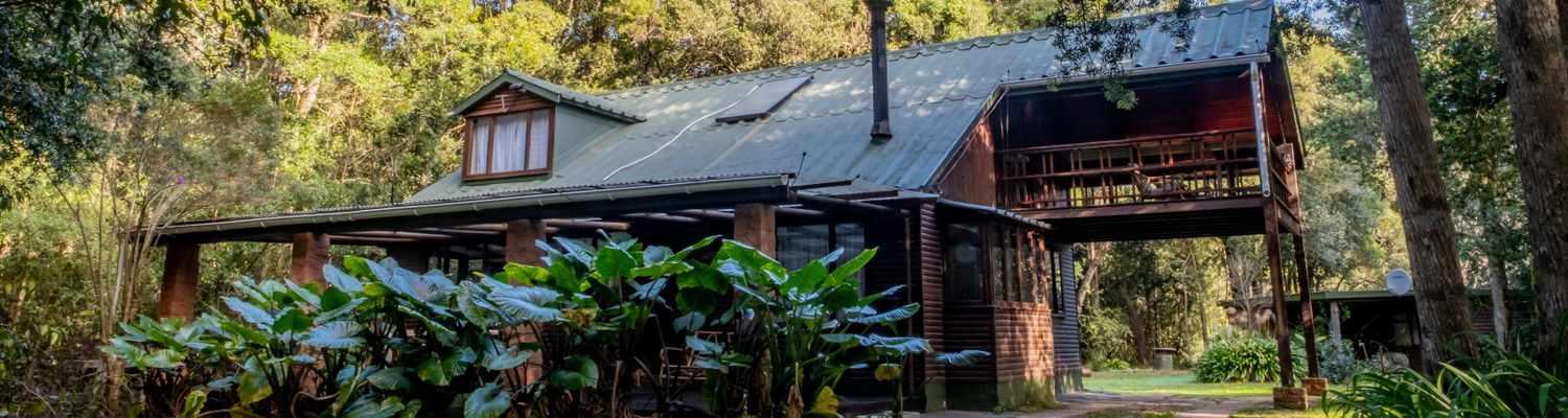 Forest House, self catering accommodation, The Crags, Plettenberg Bay