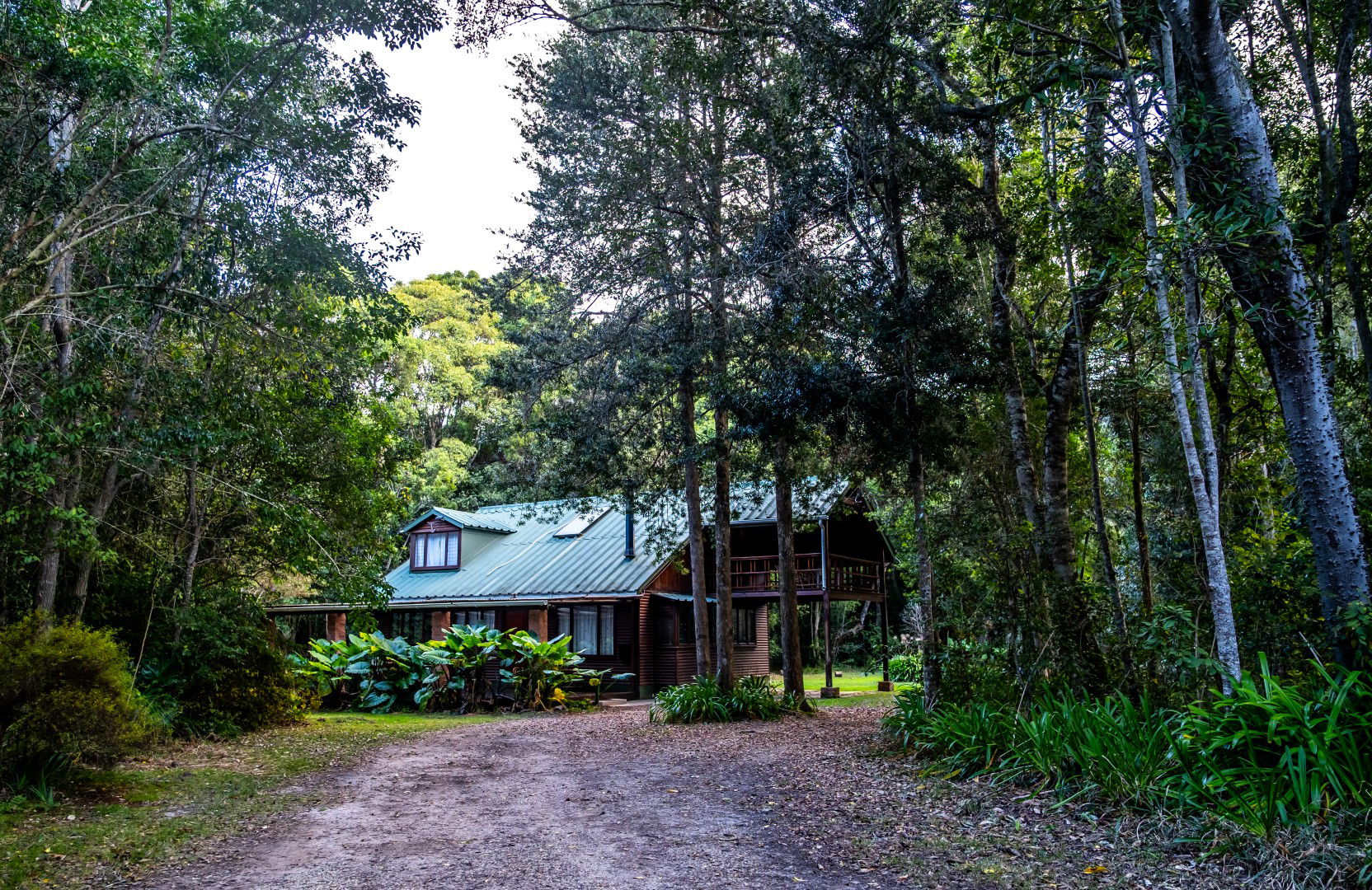 Forest House, self catering accommodation, The Crags, Plettenberg Bay