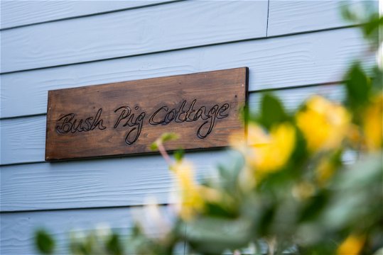 Beautiful forest setting at the self catering Bush Pig Cottage with indoor fireplace