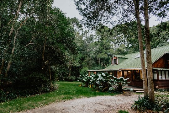 The Wooden Forest House nestled in our Indigenous Forest is secluded and peaceful  