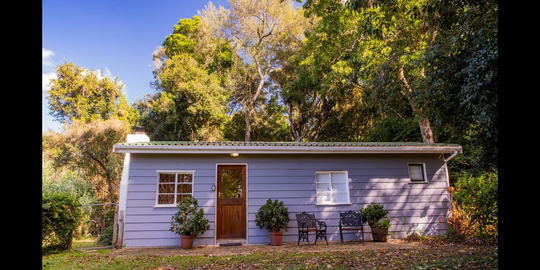 Bush Pig Cottage