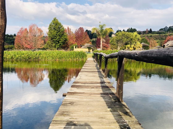 The bridge to the Island