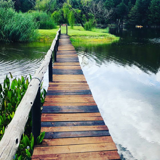 Bridge to the Island