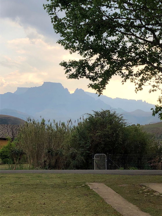 The view from the Cottage