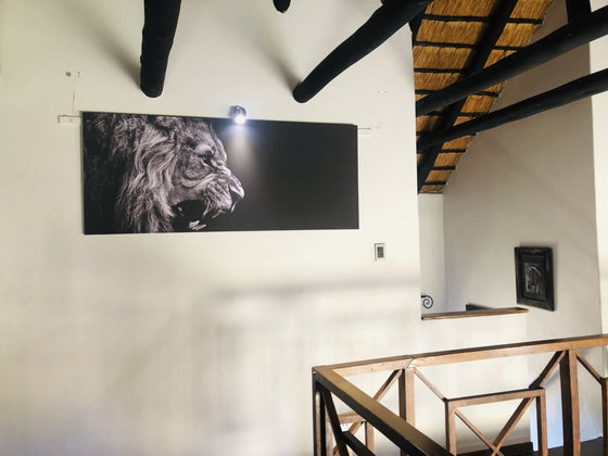 Mezzanine Mezzanine