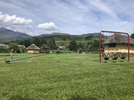 The Playground