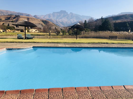 Swimming pool with a view